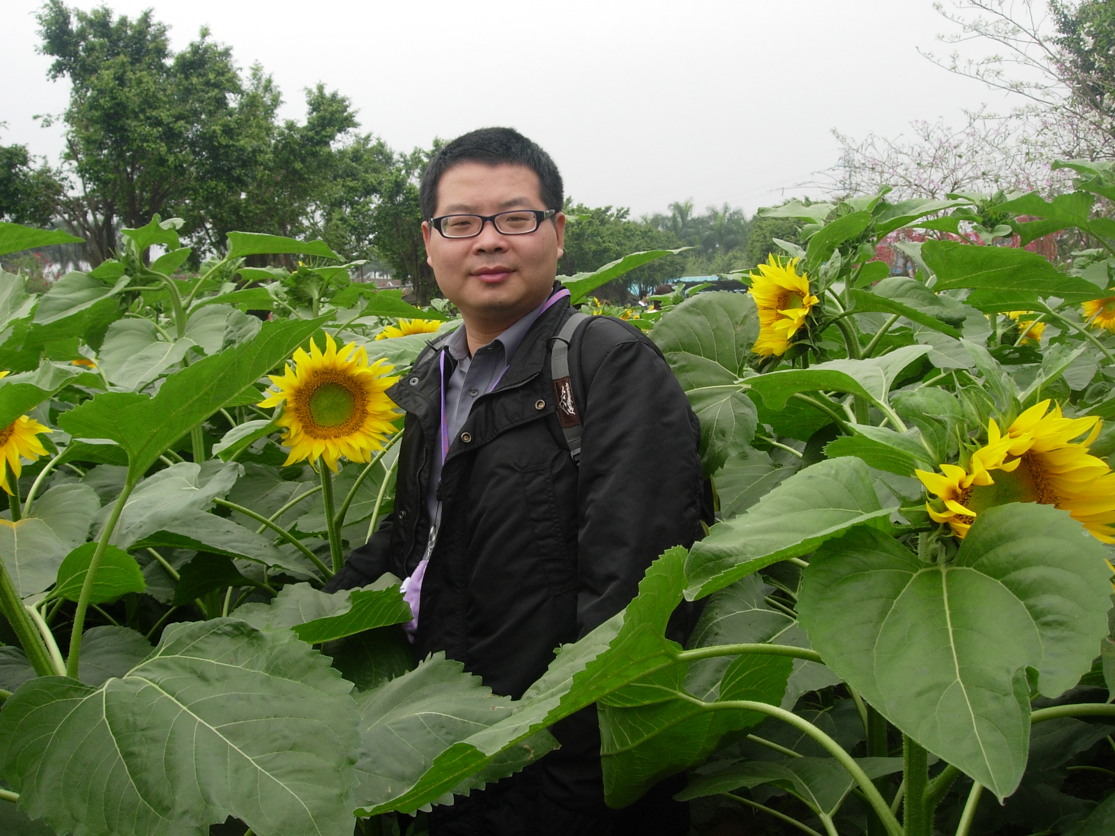 优秀党员  王平.png